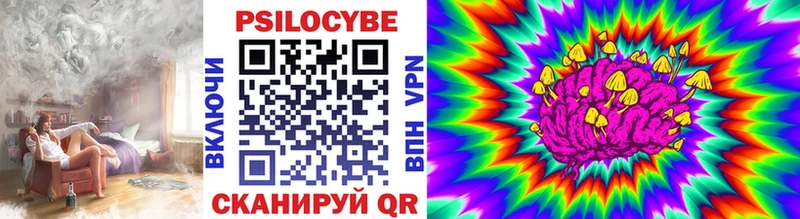 Галлюциногенные грибы Cubensis  Севск 
